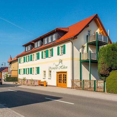 Staimicher Hoehen - Premium Appartements Kurort Steinbach-Hallenberg Екстер'єр фото